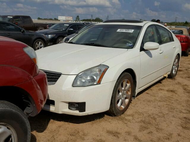 1N4BA41E08C817928 - 2008 NISSAN MAXIMA SE WHITE photo 2