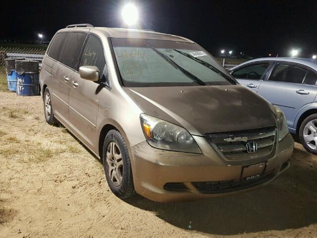 5FNRL38765B022014 - 2005 HONDA ODYSSEY EX GOLD photo 1