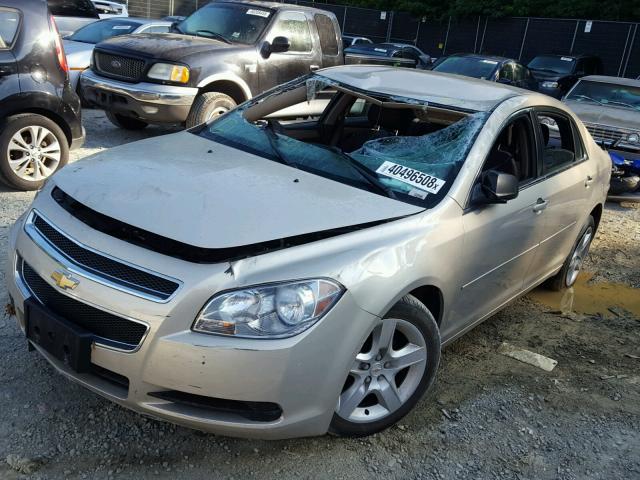 1G1ZB5EB1AF157598 - 2010 CHEVROLET MALIBU LS GOLD photo 2