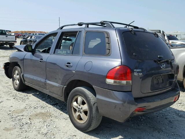 KM8SC13D25U911060 - 2005 HYUNDAI SANTA FE G GRAY photo 3