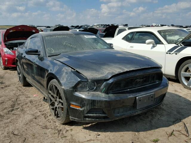 1ZVBP8AM2D5206236 - 2013 FORD MUSTANG BLACK photo 1