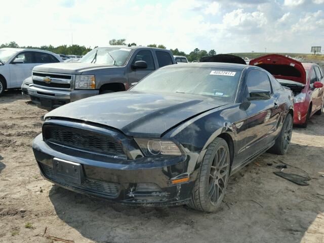 1ZVBP8AM2D5206236 - 2013 FORD MUSTANG BLACK photo 2