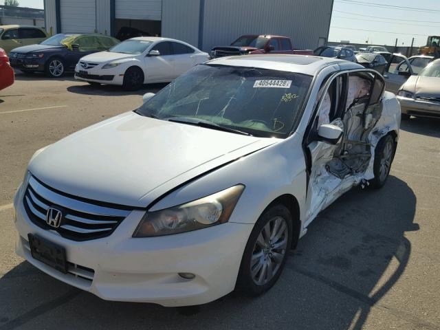 1HGCP3F8XBA002764 - 2011 HONDA ACCORD EXL WHITE photo 2