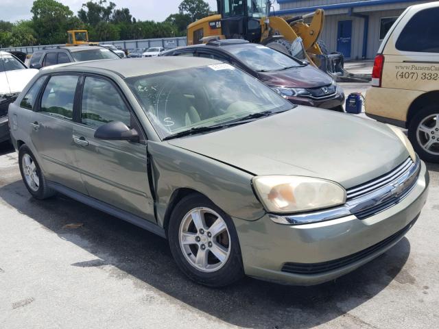 1G1ZT62835F319099 - 2005 CHEVROLET MALIBU MAX 绿色 照片 1