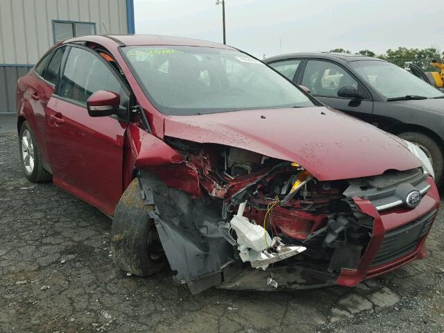 1FADP3F2XDL312229 - 2013 FORD FOCUS SE RED photo 1