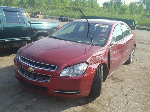 1G1ZC5E14BF316622 - 2011 CHEVROLET MALIBU 1LT BURGUNDY photo 2