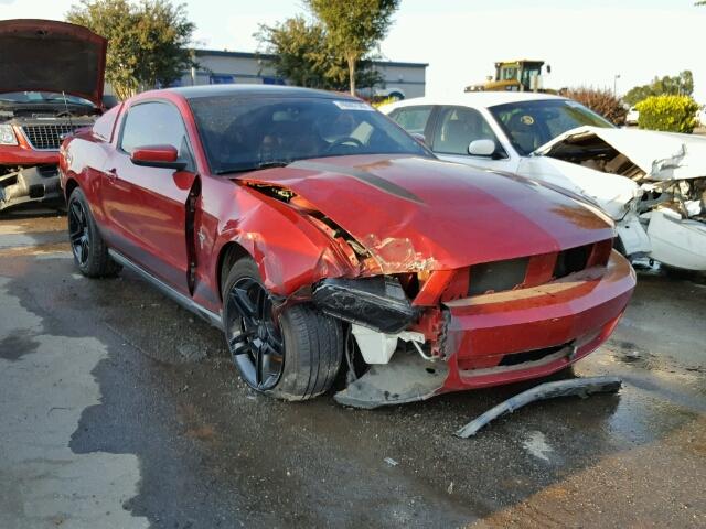 1ZVBP8AN7A5123597 - 2010 FORD MUSTANG RED photo 1