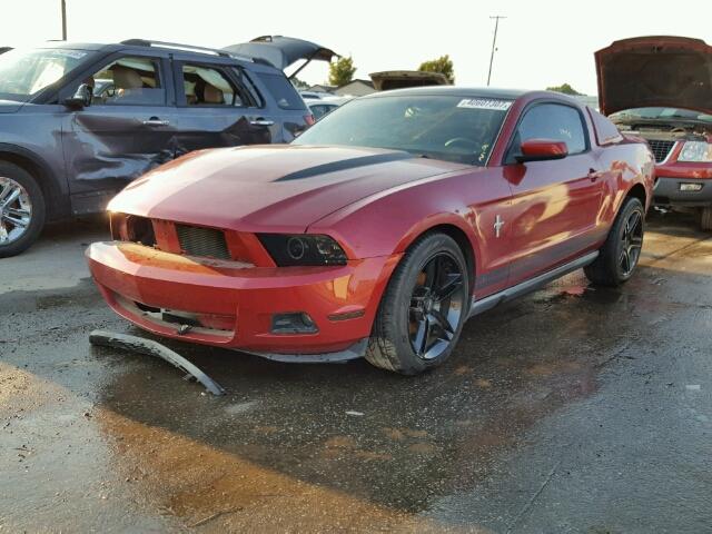 1ZVBP8AN7A5123597 - 2010 FORD MUSTANG RED photo 2