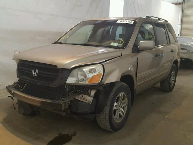 5FNYF18415B059176 - 2005 HONDA PILOT EX TAN photo 2