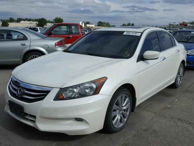 1HGCP3F8XBA009911 - 2011 HONDA ACCORD EXL WHITE photo 2