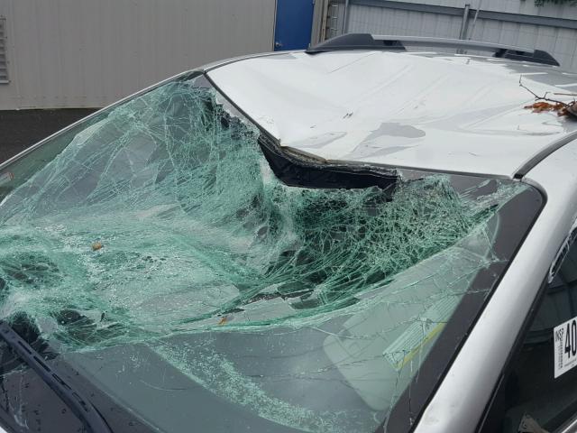 1GKLVMED1AJ268024 - 2010 GMC ACADIA SLT 银色 照片 9