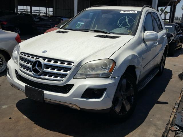 4JGBB86E99A508734 - 2009 MERCEDES-BENZ ML 350 WHITE photo 2