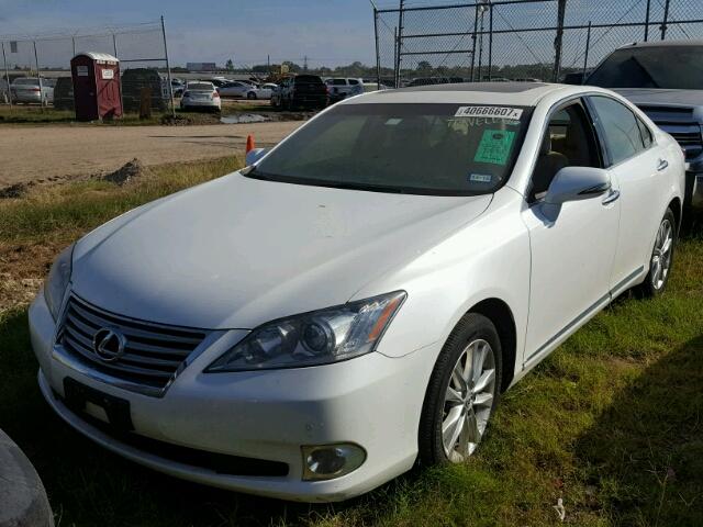 JTHBK1EG1B2452446 - 2011 LEXUS ES WHITE photo 2