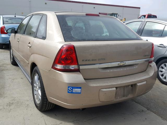 1G1ZT62835F305185 - 2005 CHEVROLET MALIBU MAX GOLD photo 3