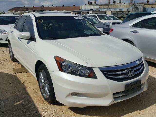 5KBCP3F86BB004275 - 2011 HONDA ACCORD EXL WHITE photo 1