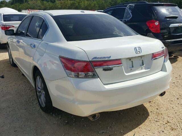 5KBCP3F86BB004275 - 2011 HONDA ACCORD EXL WHITE photo 3