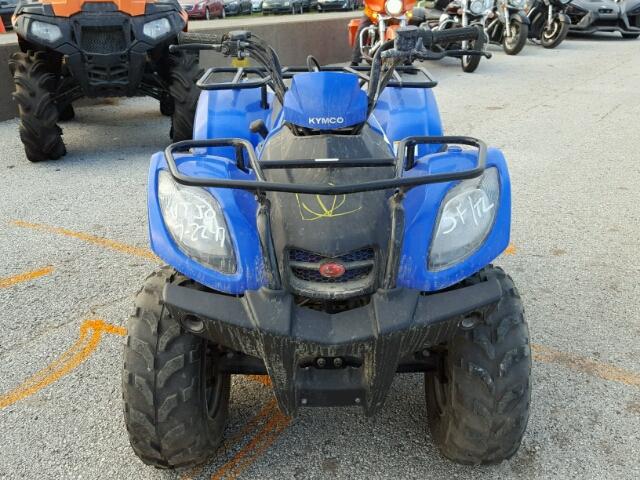 RFBLJ12U0DB581187 - 2013 KYMCO USA INC UTILITY AT BLUE photo 10