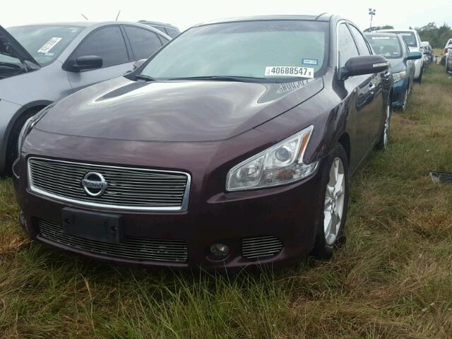 1N4AA5APXEC431094 - 2014 NISSAN MAXIMA PURPLE photo 2