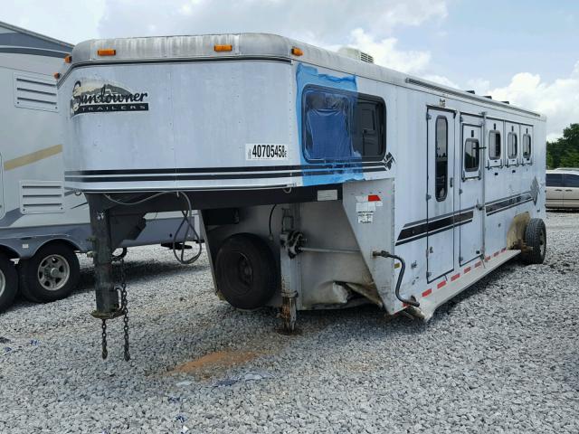 13SVE3327X1VA6245 - 1999 UTILITY HORSETRAIL WHITE photo 2