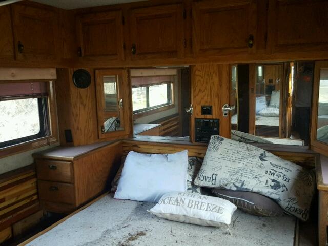 15GED0412J1041277 - 1989 BEVR MOTORHOME TWO TONE photo 8