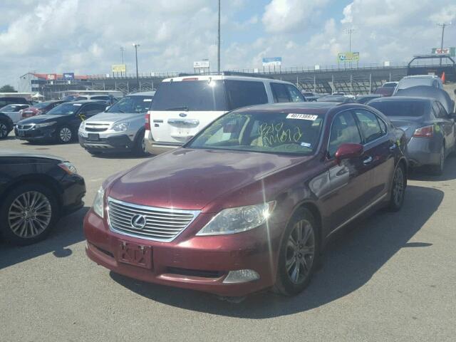 JTHBL46F085054902 - 2008 LEXUS LS 460 BURGUNDY photo 2