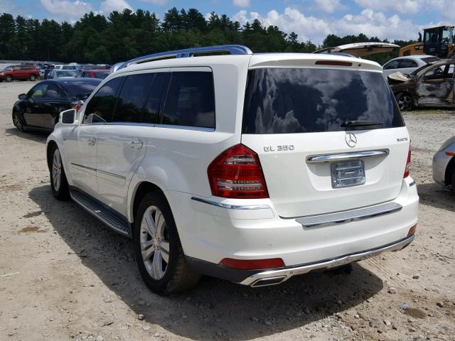 4JGBF2FE1BA738016 - 2011 MERCEDES-BENZ GL 350 BLU WHITE photo 3