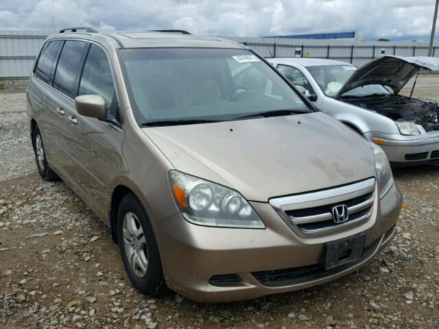 5FNRL38727B093035 - 2007 HONDA ODYSSEY EX TAN photo 1