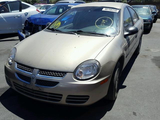 1B3ES26C23D202933 - 2003 DODGE NEON SE GOLD photo 2