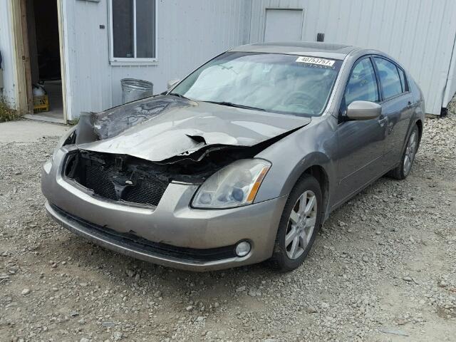 1N4BA41E64C857988 - 2004 NISSAN MAXIMA TAN photo 2