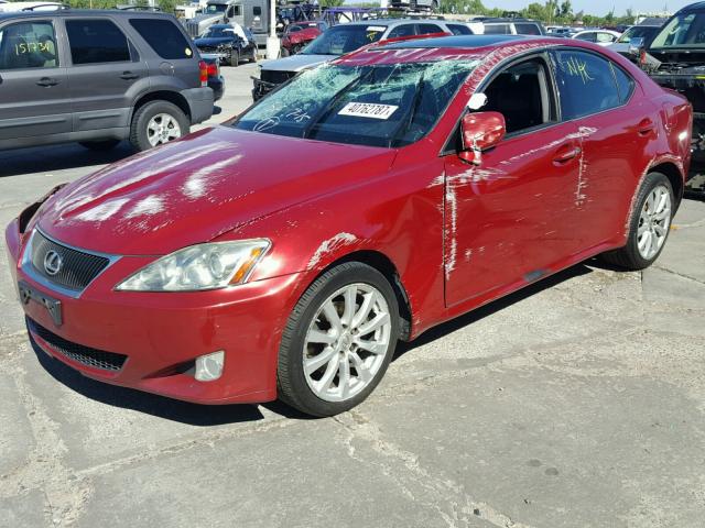 JTHCK262582026510 - 2008 LEXUS IS 250 RED photo 2