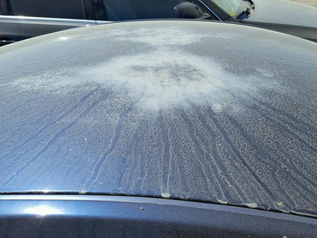 3VWCK21C82M409159 - 2002 VOLKSWAGEN NEW BEETLE ლურჯი ფოტო 9