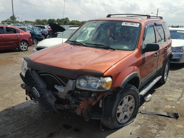 1FMYU03116KD18133 - 2006 FORD ESCAPE ORANGE photo 2