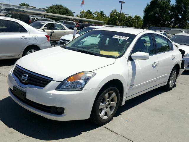 1N4CL21E69C128903 - 2009 NISSAN ALTIMA HYB WHITE photo 2