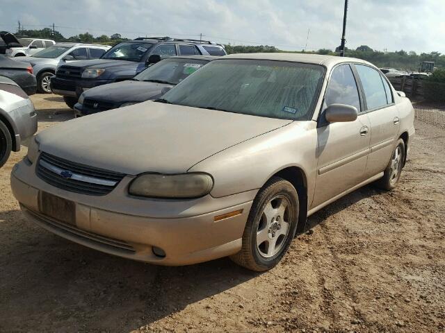 1G1NE52J72M604837 - 2002 CHEVROLET MALIBU GOLD photo 2