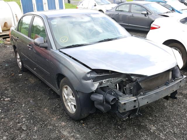 1G1ZT54885F107564 - 2005 CHEVROLET MALIBU LS GRAY photo 1