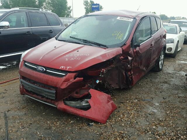 1FMCU0G72FUC35906 - 2015 FORD ESCAPE RED photo 2