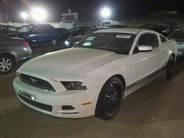 1ZVBP8AM8D5224885 - 2013 FORD MUSTANG WHITE photo 2