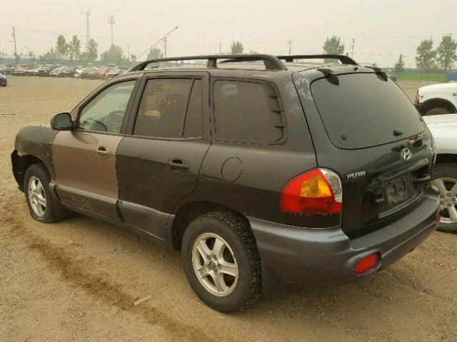 KM8SB13D03U564022 - 2003 HYUNDAI SANTA FE B GRAY photo 3