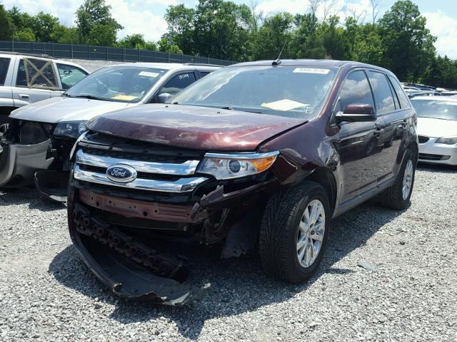 2FMDK3JC0CBA44424 - 2012 FORD EDGE SEL BURGUNDY photo 2