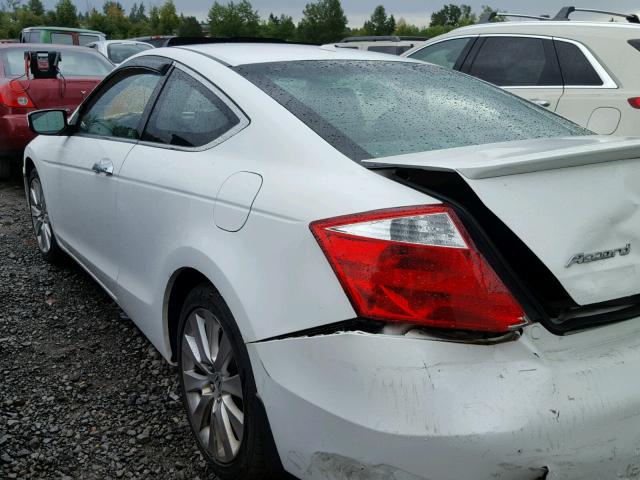 1HGCS22818A801226 - 2008 HONDA ACCORD EXL WHITE photo 3