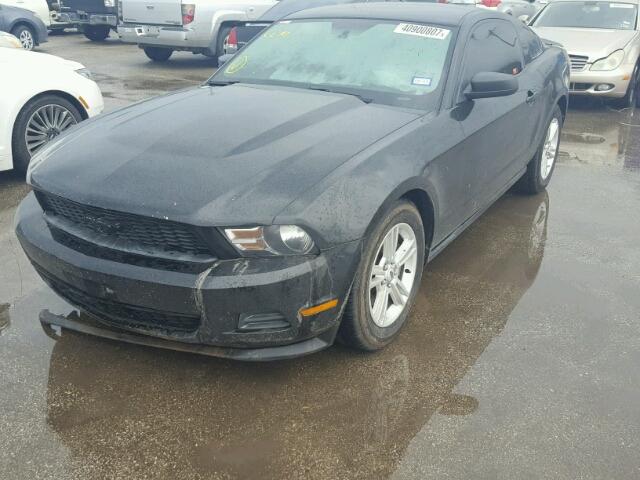 1ZVBP8AM8C5236713 - 2012 FORD MUSTANG BLACK photo 2