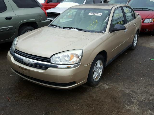 1G1ZT54834F152927 - 2004 CHEVROLET MALIBU LS GOLD photo 2