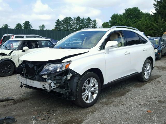 JTJBC1BA0B2418493 - 2011 LEXUS RX 450 WHITE photo 2