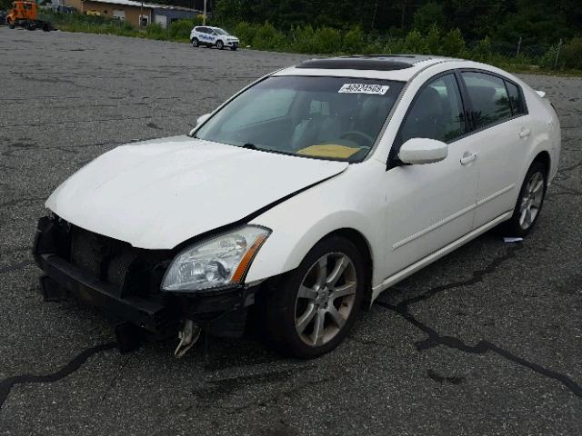 1N4BA41E18C836245 - 2008 NISSAN MAXIMA SE WHITE photo 2