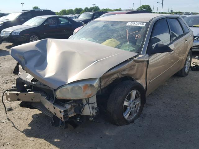1G1ZT62815F251868 - 2005 CHEVROLET MALIBU MAX ოქროსფერი ფოტო 2