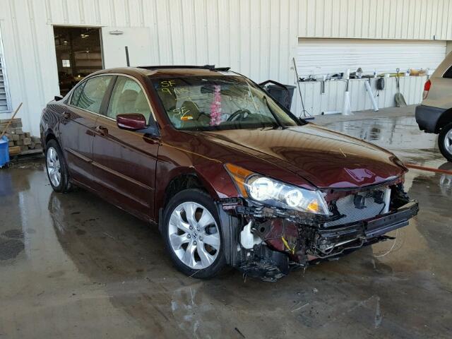 1HGCP26839A096331 - 2009 HONDA ACCORD EXL BURGUNDY photo 1