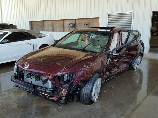 1HGCP26839A096331 - 2009 HONDA ACCORD EXL BURGUNDY photo 2