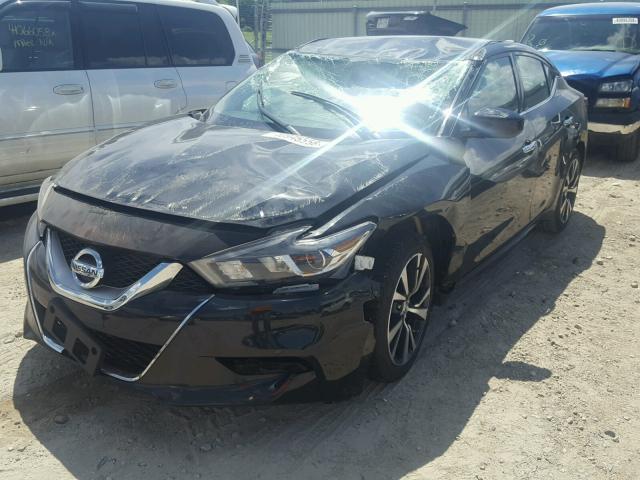 1N4AA6AP9GC446503 - 2016 NISSAN MAXIMA 3.5 BLACK photo 2