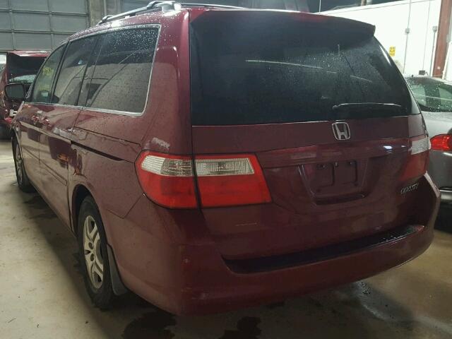 5FNRL38785B063504 - 2005 HONDA ODYSSEY RED photo 3