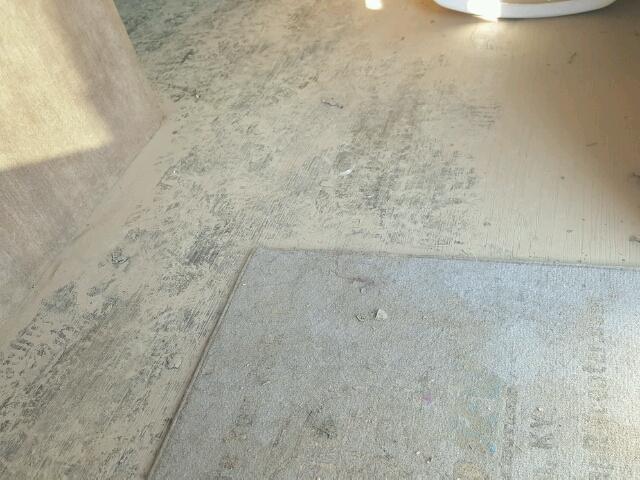 1SABS0BM7H2AN5092 - 2017 STAR CAMPER TAN photo 9